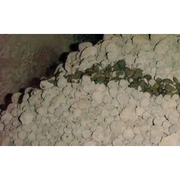 Cement Additives